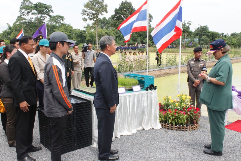 สยามคูโบต้ามีนโยบายสำคัญในการสนองพระราชดำริของพระบาทสมเด็จพระเจ้าอยู่หัวฯ