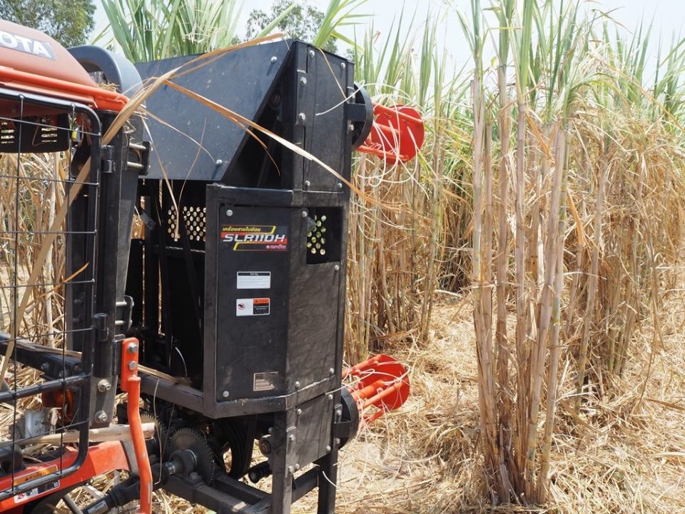 คูโบต้า ร่วมรณรงค์ตัดอ้อยสด ลดมลพิษ PM 2.5 ที่มหาสารคาม