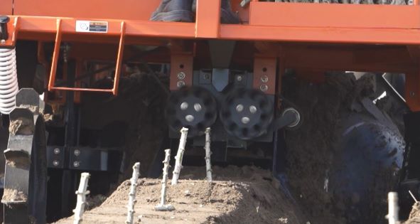 Cassava Planter L-Series CP200F
