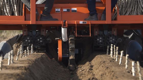 Cassava Planter L-Series CP200F